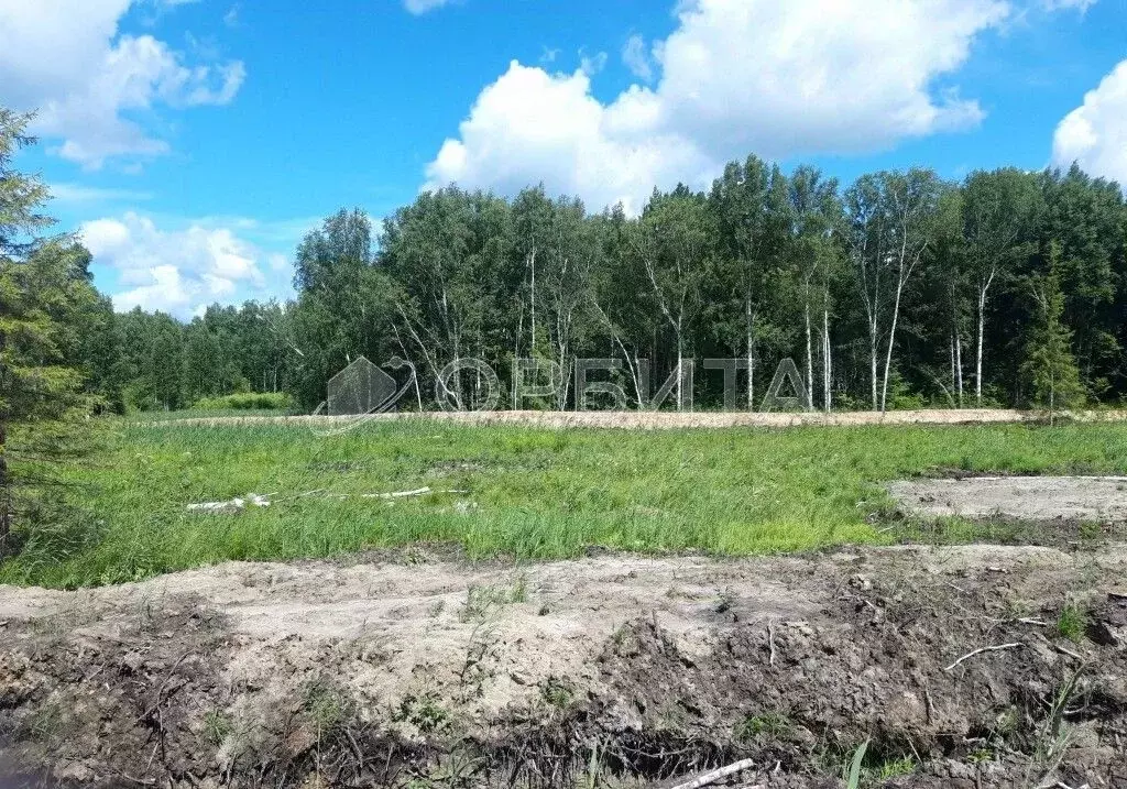 Участок в Тюменская область, Нижнетавдинский район, с. Тюнево  (8.5 ... - Фото 0
