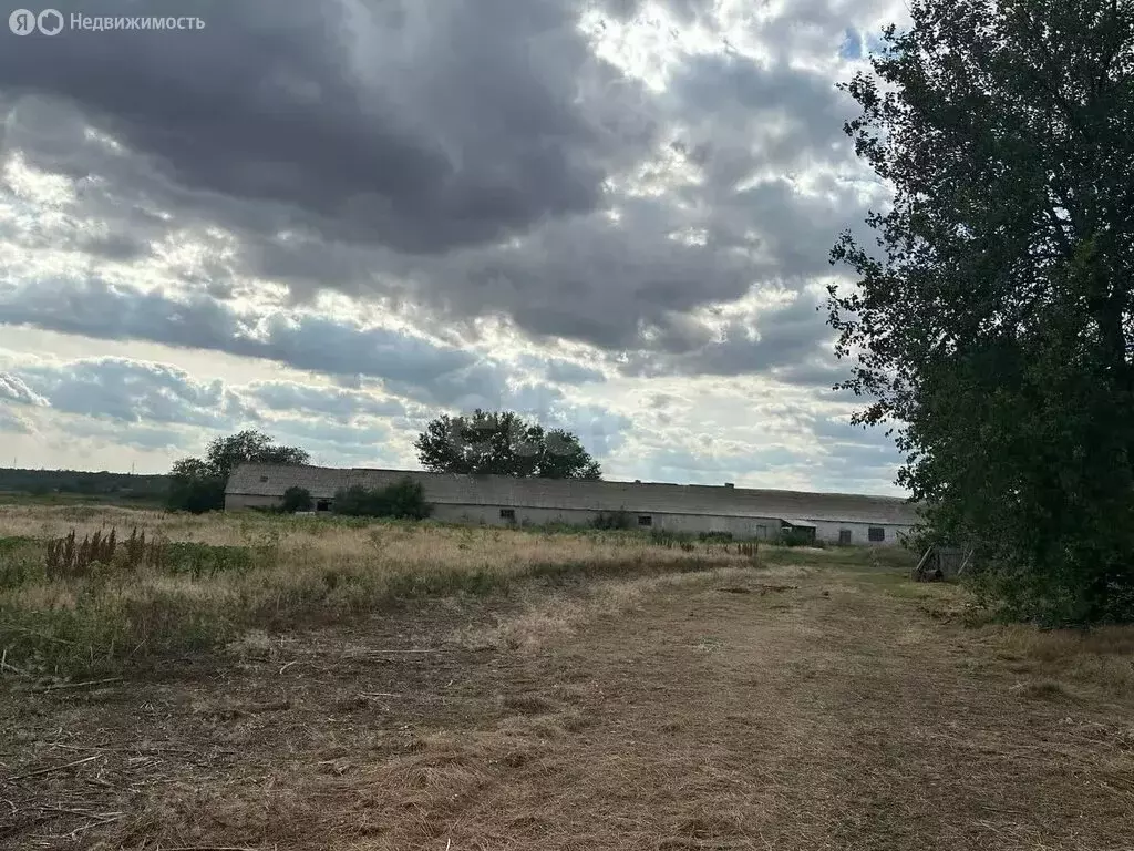 Участок в слобода Красюковская, Кленовая улица (165000 м) - Фото 1