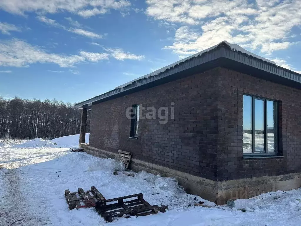 Дом в Башкортостан, Бижбулякский район, с. Демский  (159 м) - Фото 1