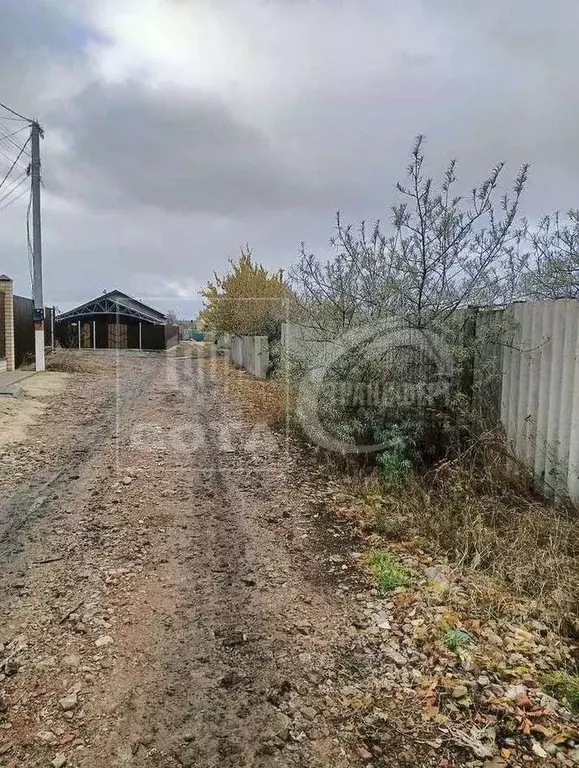 Участок в Воронежская область, с. Новая Усмань ул. Садовая (724.0 ... - Фото 1