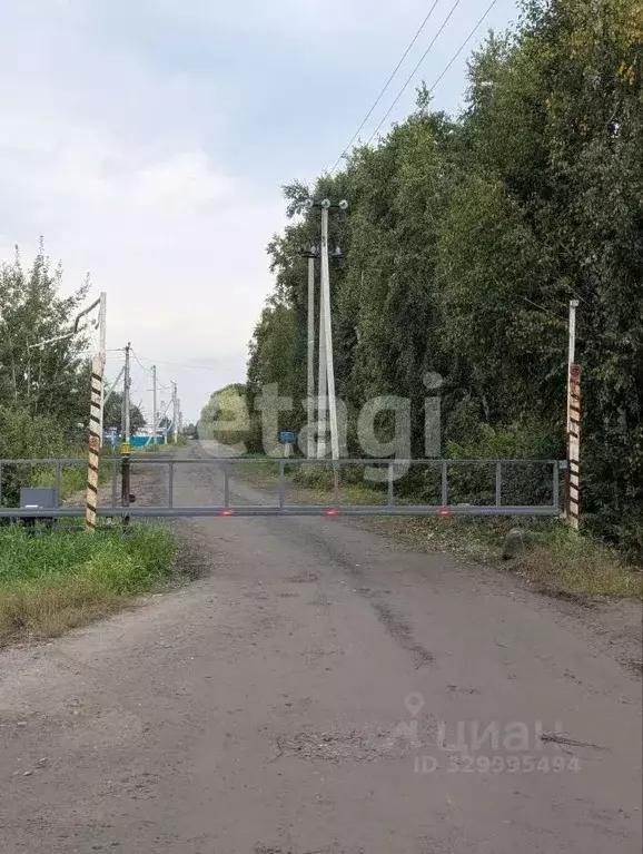 Участок в Тюменская область, Тюмень Поле Чудес садовое товарищество, ... - Фото 1