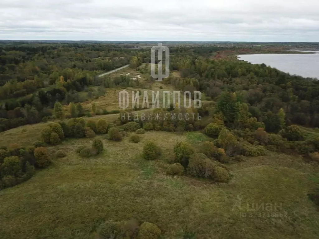 Участок в Новгородская область, Боровичский район, Железковское с/пос, ... - Фото 2