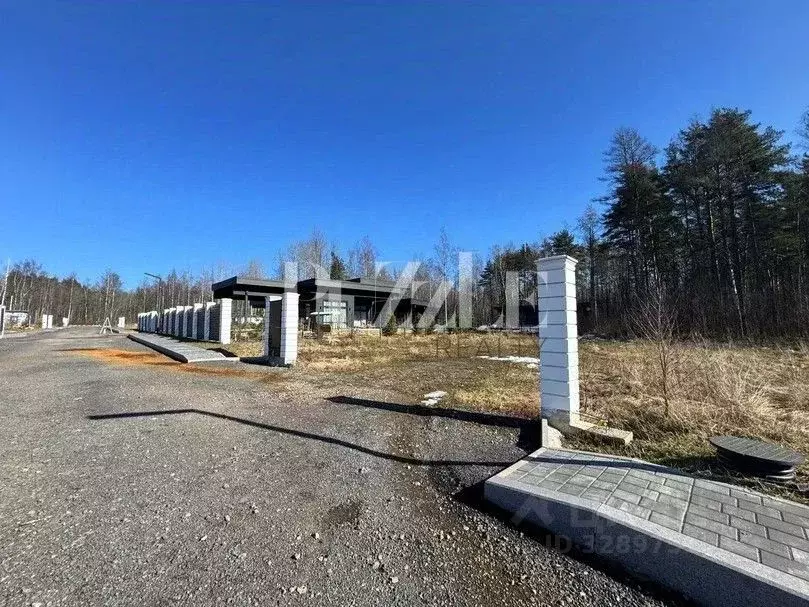 Участок в Санкт-Петербург пос. Ушково, Литорино кп,  (29.8 сот.) - Фото 2