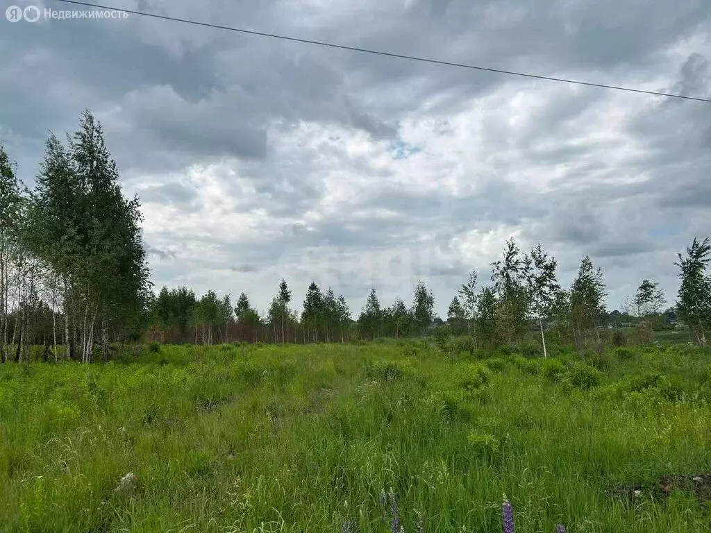 Участок в Брянск (38 м) - Фото 1