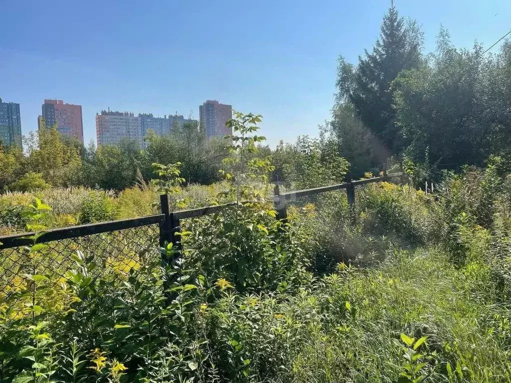 Участок в Нижегородская область, Нижний Новгород Маяк садовое ... - Фото 1