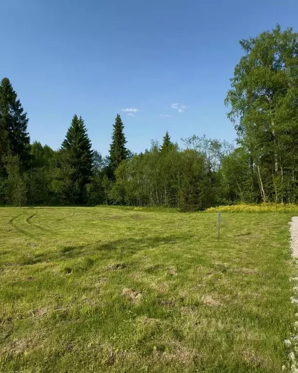 Участок в Московская область, Клин городской округ, Ели Эстейт ... - Фото 2