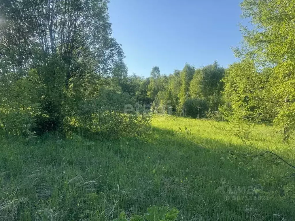 Участок в Московская область, Дмитровский городской округ, с. Костино ... - Фото 1