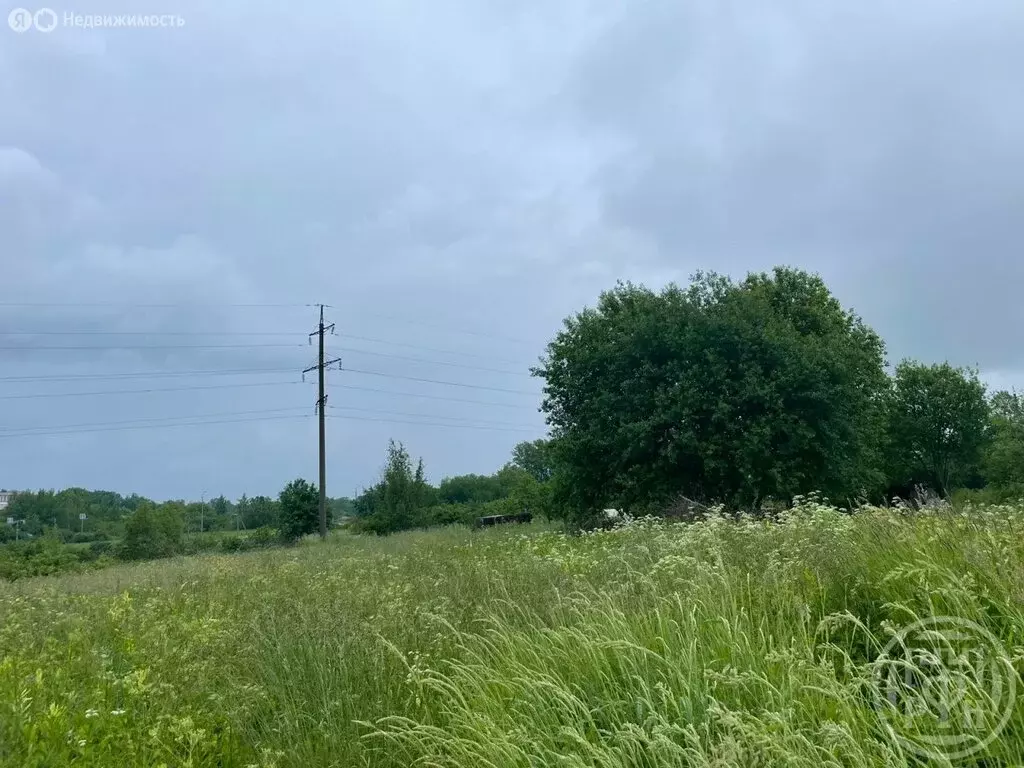 Участок в Ломоносовский район, деревня Низино (4 м) - Фото 2