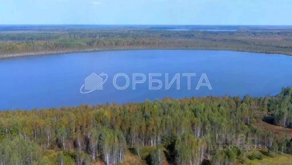 Участок в Тюменская область, Нижнетавдинский район, пос. Мияги ул. ... - Фото 1