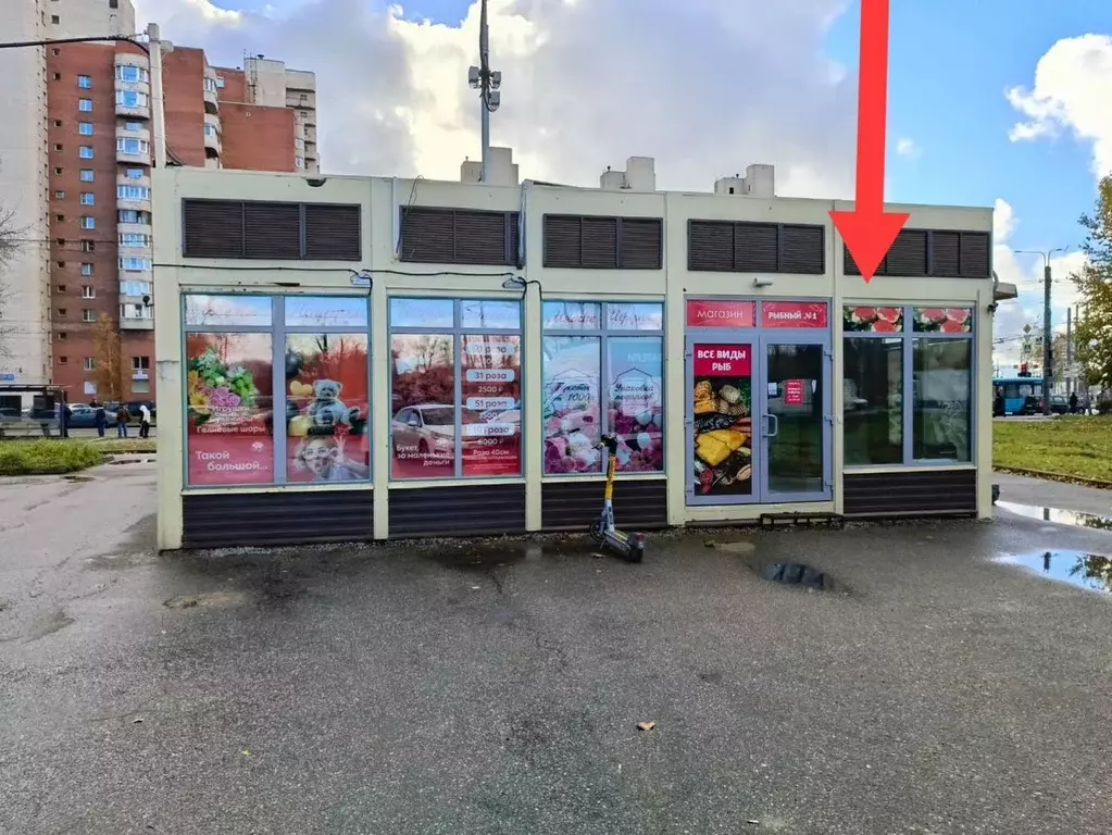 Торговая площадь в Санкт-Петербург просп. Ветеранов, 109к4 (25 м) - Фото 2