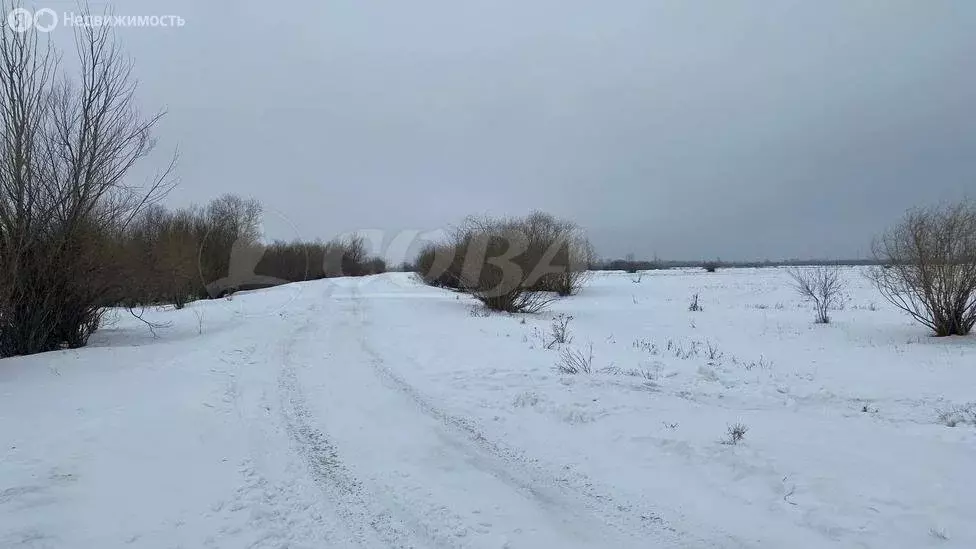 Участок в Мальковское муниципальное образование (10 м) - Фото 0