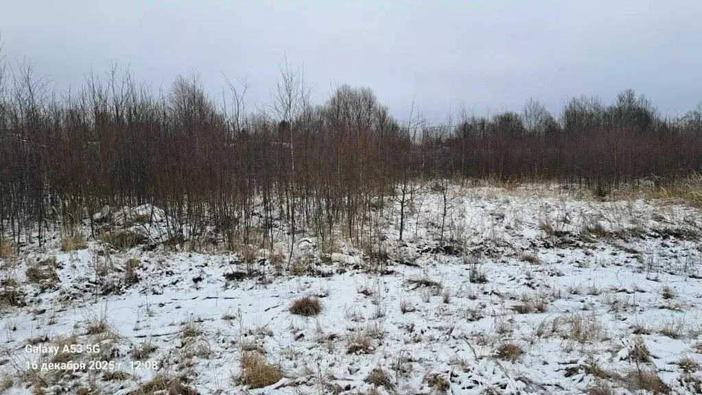 Участок в Московская область, Истра муниципальный округ, д. Дьяково 20 ... - Фото 1