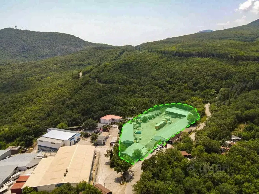 Участок в Крым, Алушта муниципальный округ, с. Виноградное  (57.51 ... - Фото 2