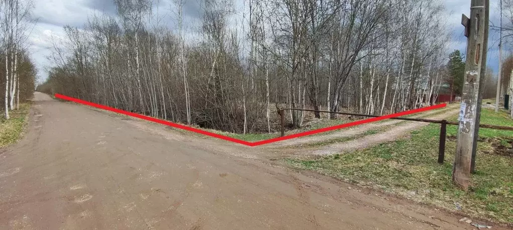 Участок в Новгородская область, Новгородский муниципальный район, ... - Фото 2