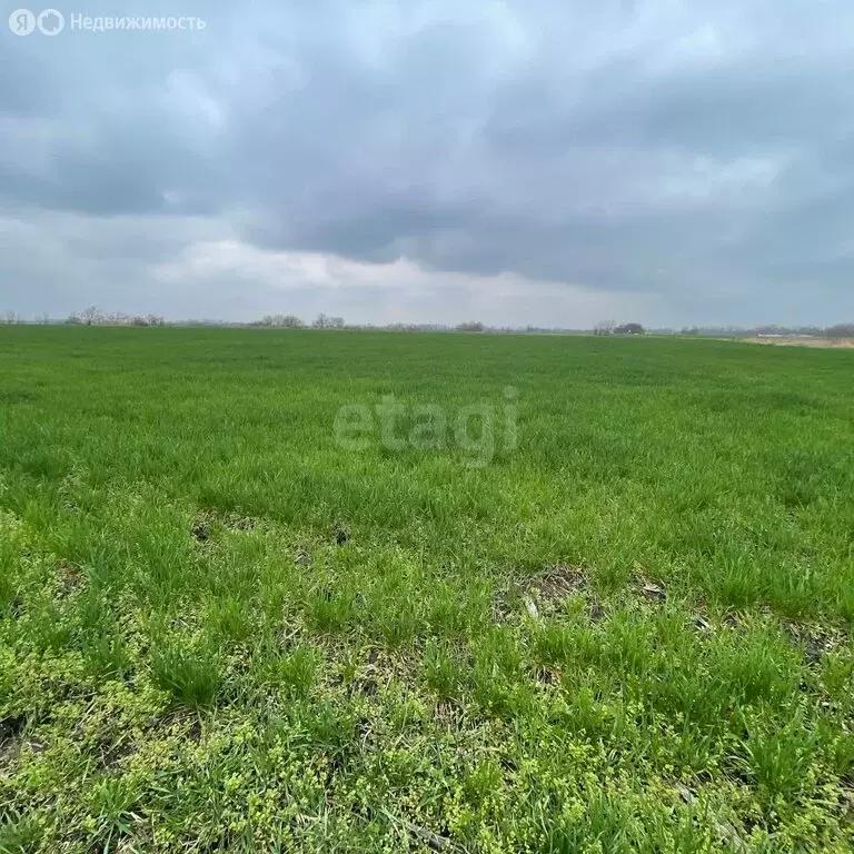 Участок в Краснодар (200.1 м) - Фото 2