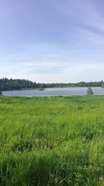 Участок в Новгородская область, Крестецкий муниципальный округ, д. ... - Фото 0