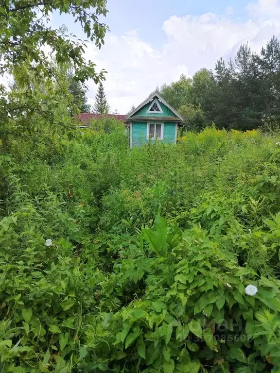Участок в Вологодская область, Вологда Ремонтник садоводческое ... - Фото 1