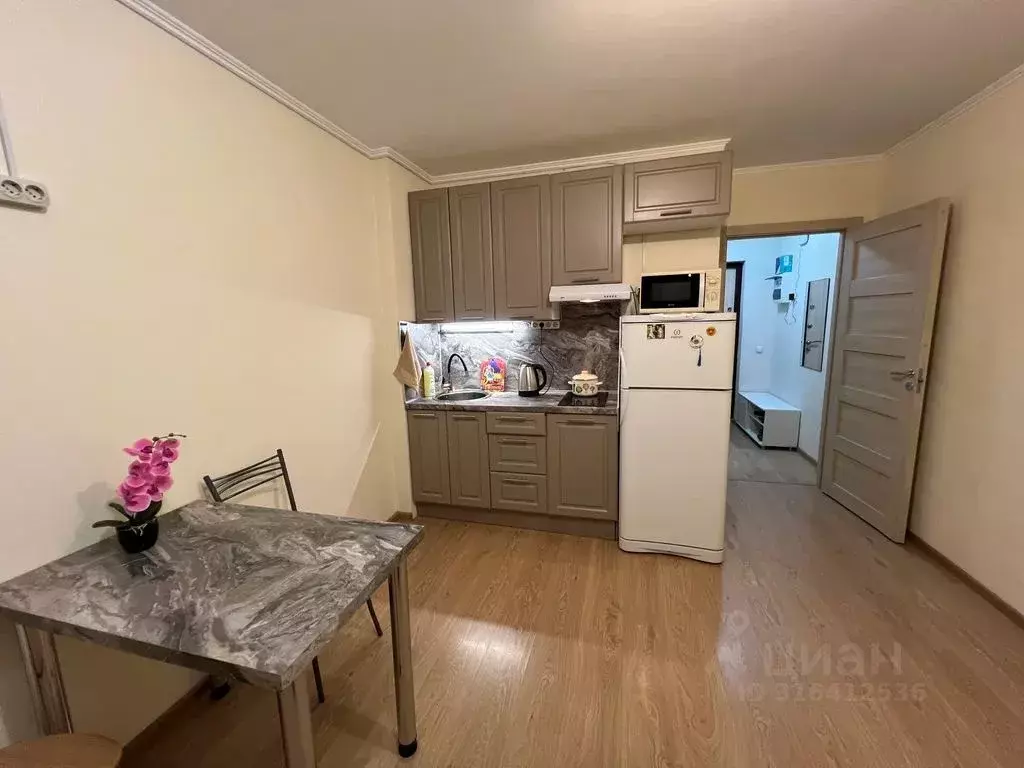 Студия Санкт-Петербург просп. Энергетиков, 9к3 (25.0 м) - Фото 0