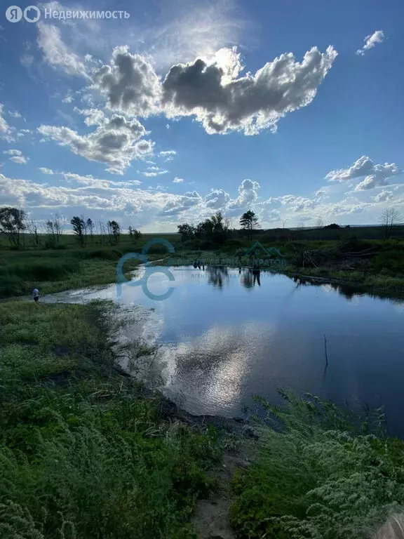 Участок в Саратовская область, Новобурасский муниципальный район, ... - Фото 2