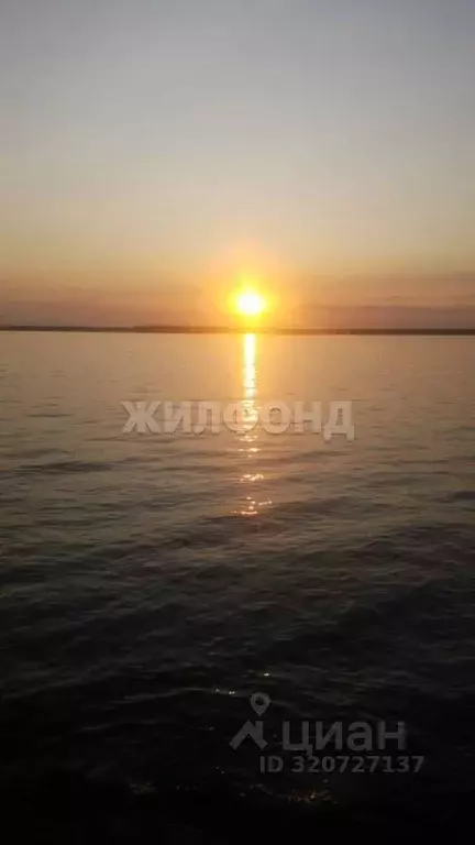 Участок в Новосибирская область, Ордынский район, д. Ерестная ... - Фото 1