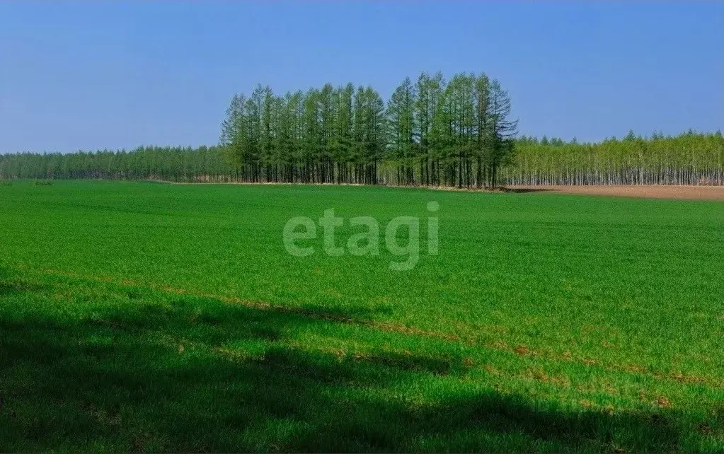 Участок в Владимирская область, Муром д. Ожигово,  (479.0 сот.) - Фото 1