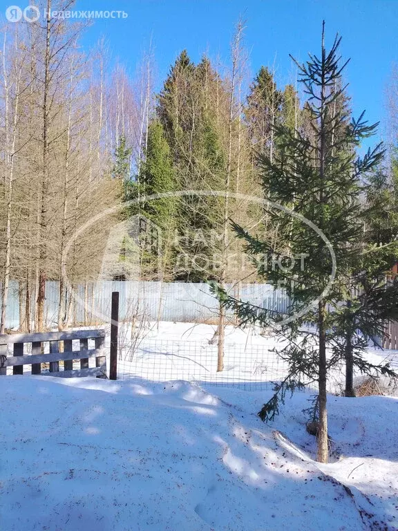 Дом в Добрянка, улица 50 лет Октября, 73А (58 м) - Фото 1