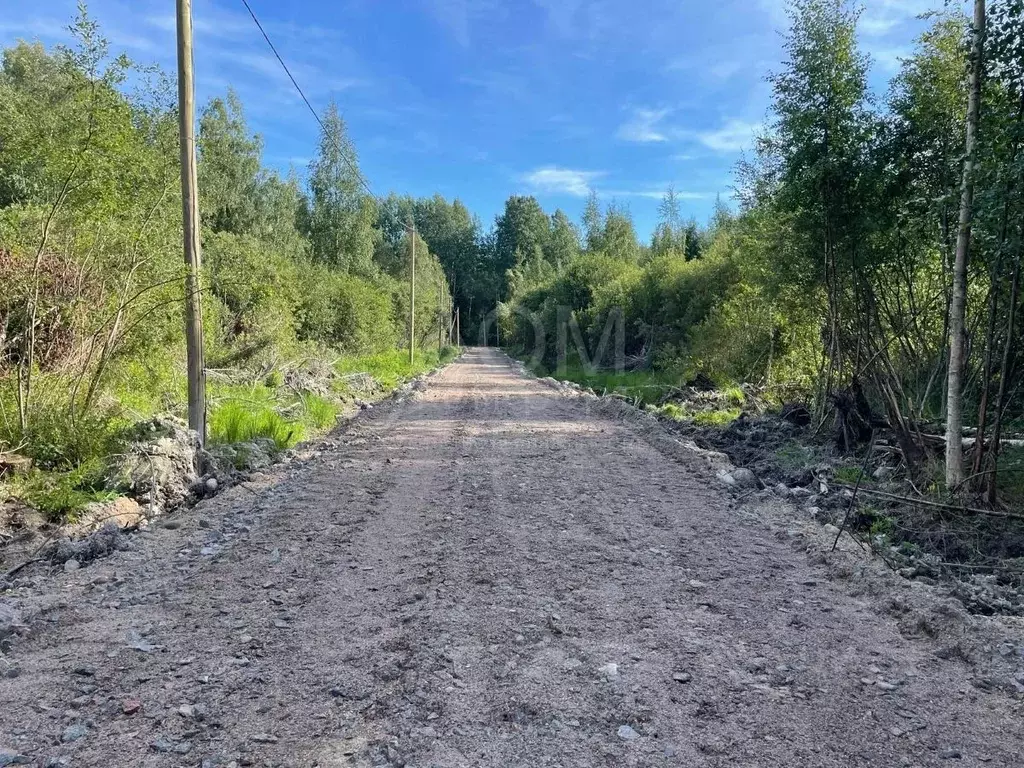 Участок в Ленинградская область, Приозерское городское поселение, пос. ... - Фото 1