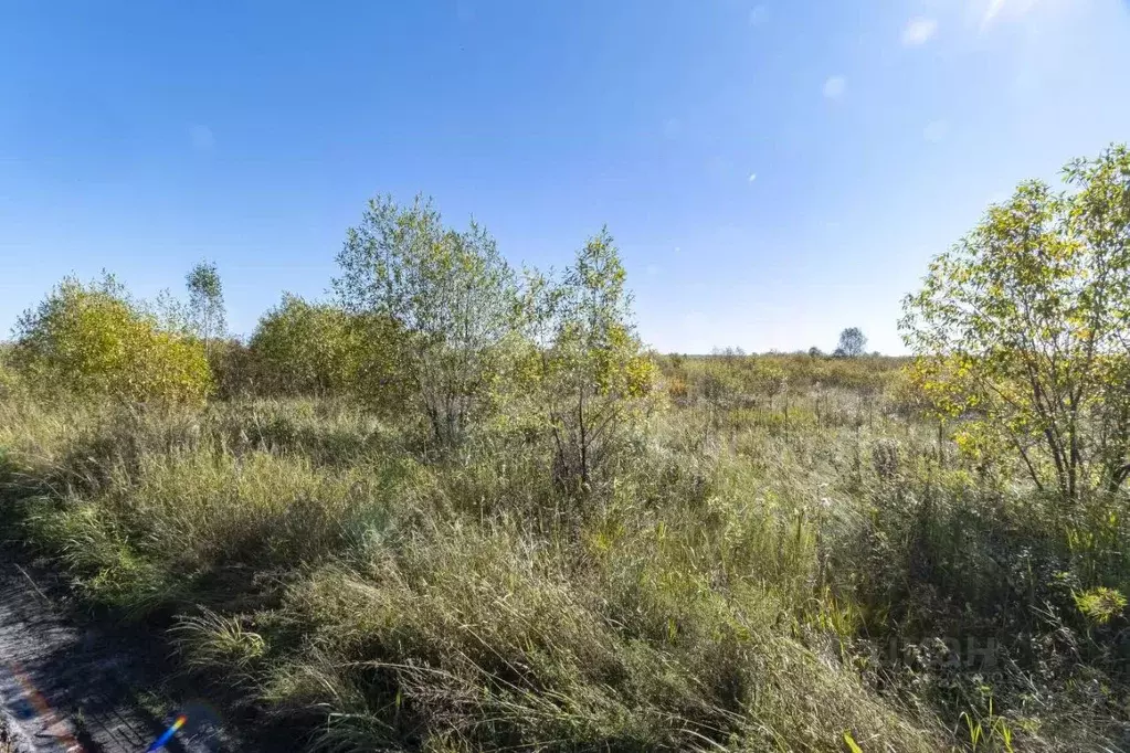 Участок в Тюменская область, Заводоуковск ул. Ветеранов Труда (9.76 ... - Фото 1