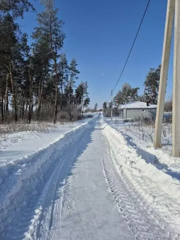 Участок в Воронежская область, Рамонский район, с. Новоживотинное ... - Фото 1
