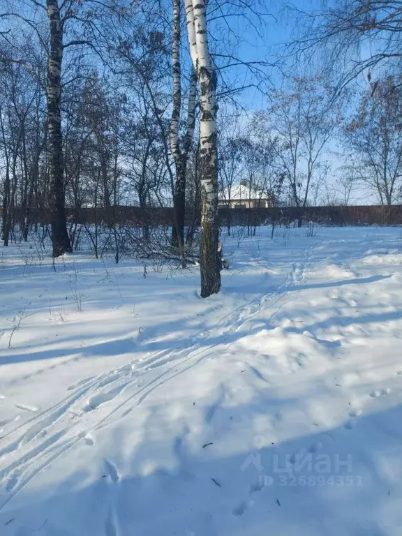 Участок в Курская область, Курчатов пер. Ягодный (49.0 сот.) - Фото 1