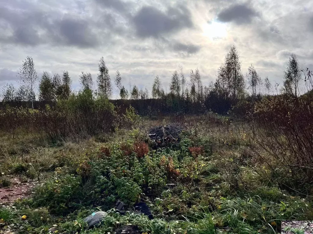 Участок в Ленинградская область, Тихвинское городское поселение, д. ... - Фото 1