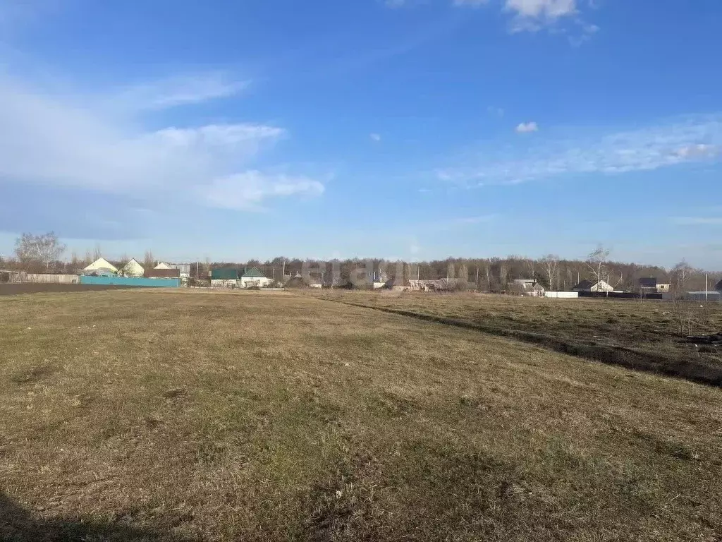 Участок в Липецкая область, Добровский муниципальный округ, с. Панино ... - Фото 1