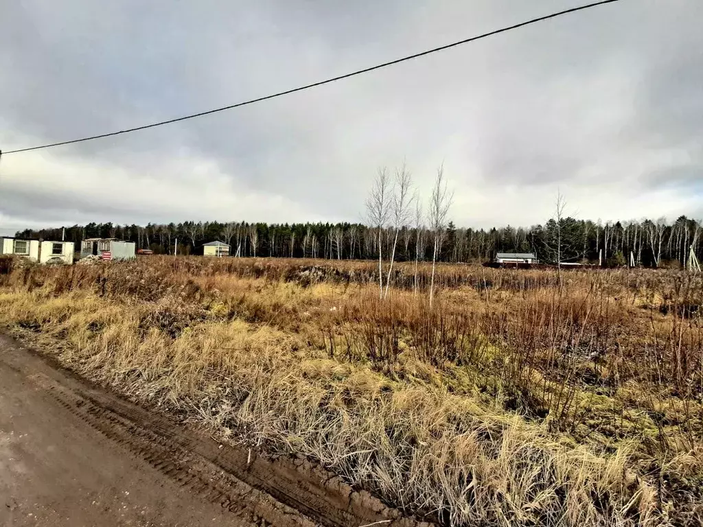 Участок в Московская область, Щелково городской округ, Лесной кв-л ... - Фото 1