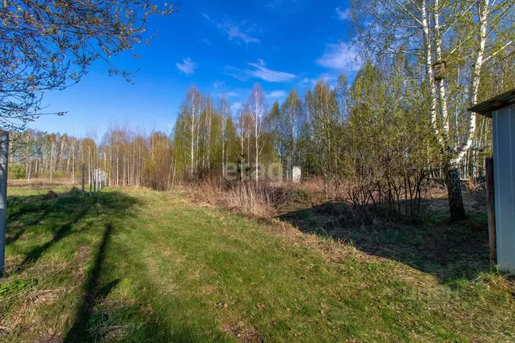 Участок в Тюменская область, Нижнетавдинский район, Кооператор СПК  ... - Фото 0