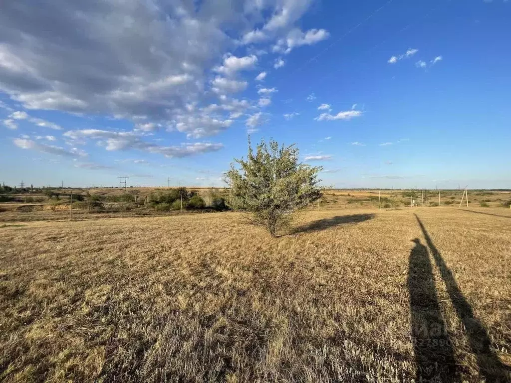 Участок в Ростовская область, Аксайский район, Мишкинское с/пос, Киров ... - Фото 2