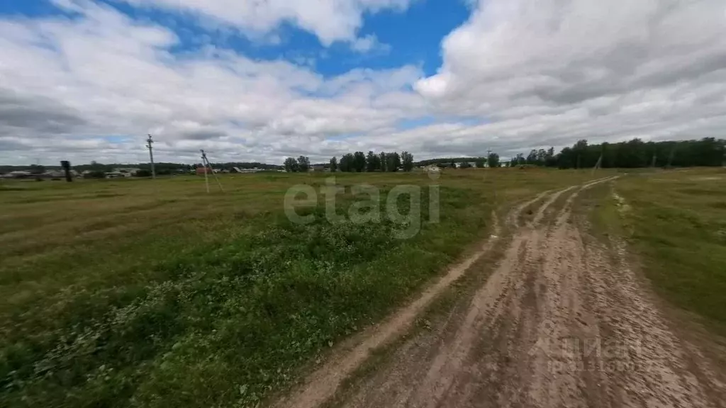 Участок в Свердловская область, Тугулымский городской округ, с. ... - Фото 0