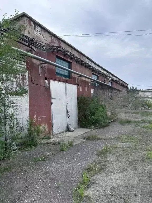 Помещение свободного назначения в Волгоградская область, Камышин ул. ... - Фото 0