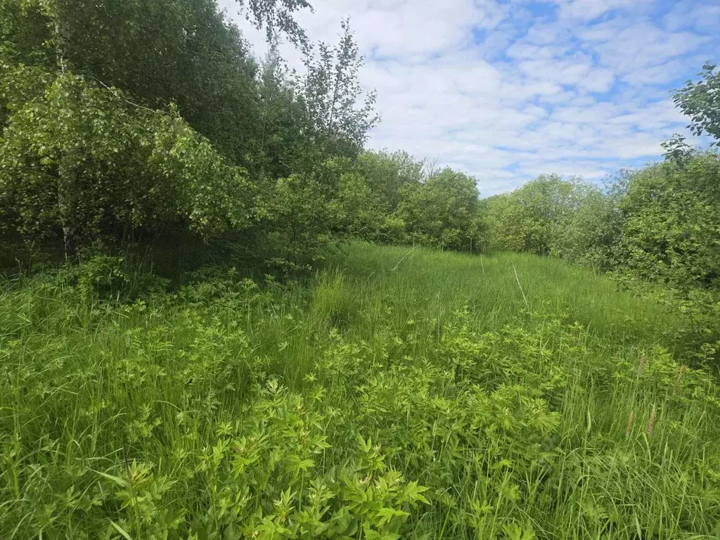 Участок в Московская область, Клин городской округ, д. Пупцево  (20.0 ... - Фото 1