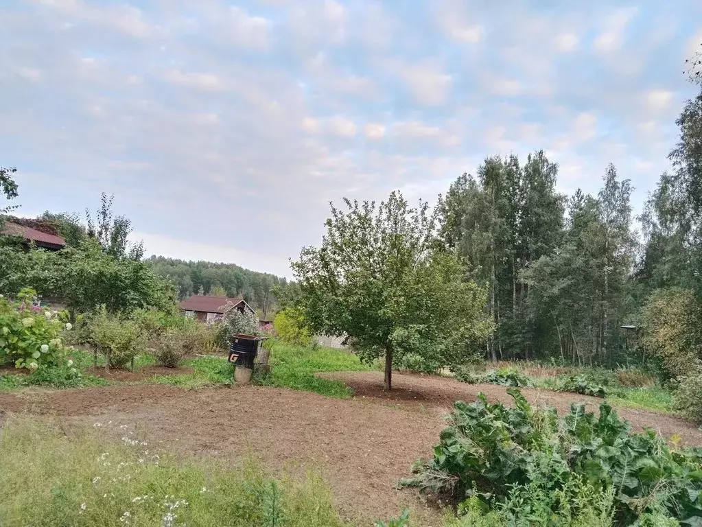 Участок в Ленинградская область, Приозерский район, пос. Сосново ул. ... - Фото 2