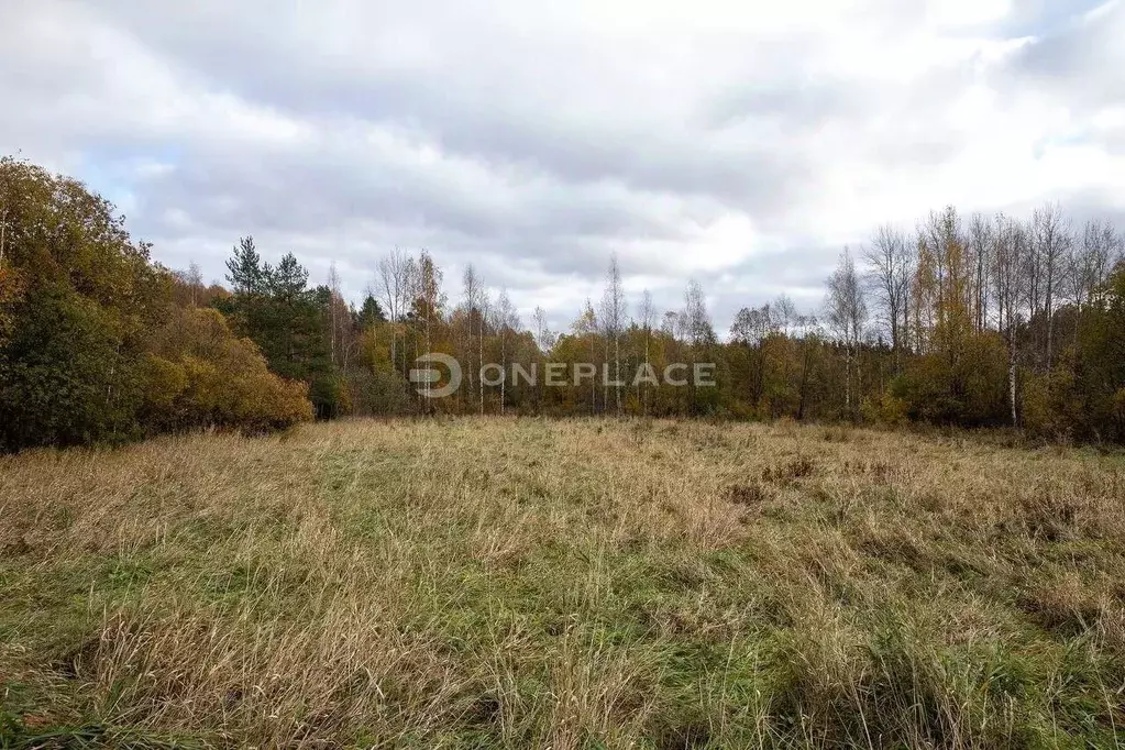 Участок в Ленинградская область, Приозерский район, Мельниковское ... - Фото 0