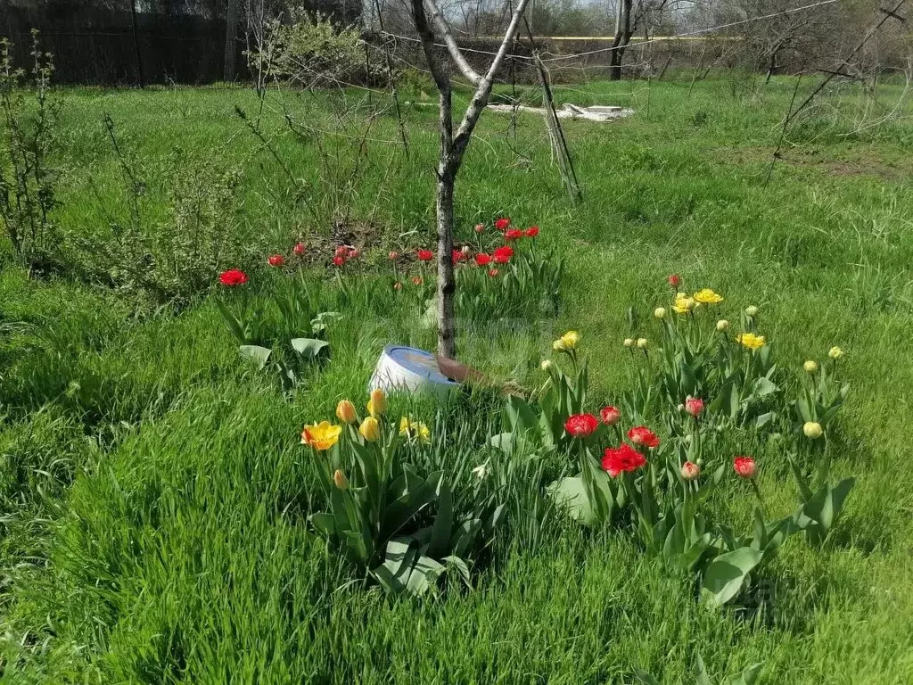 Участок в Ростовская область, Таганрог пос. Вечность, ул. Большая ... - Фото 2