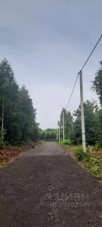 Участок, 6 сот., поселения (ижс) - Фото 2