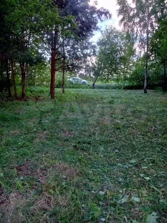 Участок 6,5 сот. (ИЖС) - Фото 1