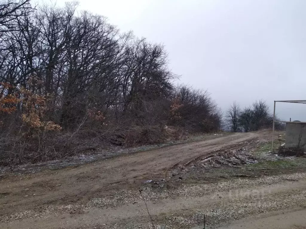 Участок в Крым, Судак муниципальный округ, с. Переваловка  (6.0 сот.) - Фото 2