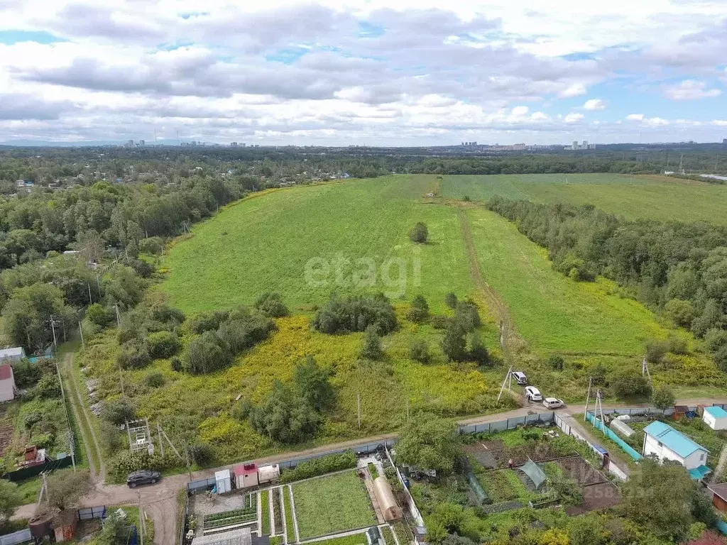 Участок в Хабаровский край, Хабаровский район, Тополевское с/пос, с. ... - Фото 2