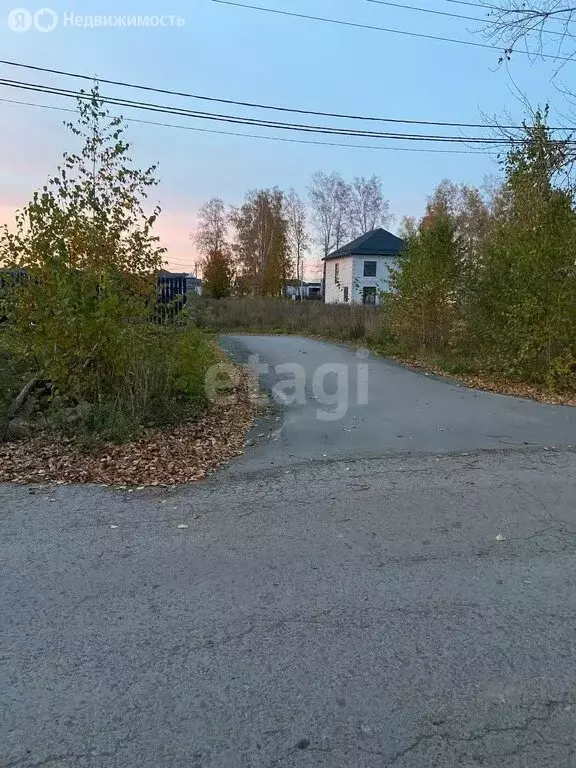 Участок в Новосибирский район, Морской сельсовет, село Ленинское (7.1 ... - Фото 1
