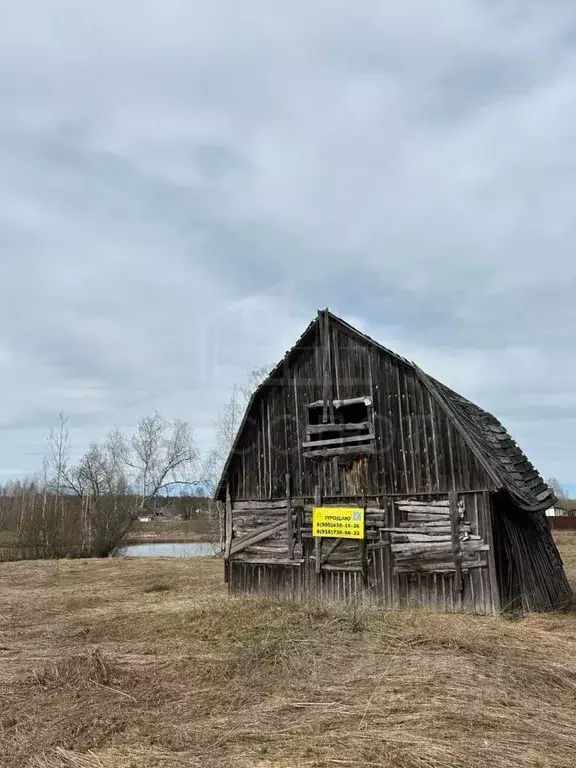 Участок в Владимирская область, Александровский район, Андреевское ... - Фото 0