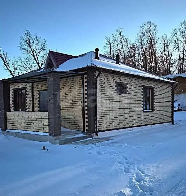 Дом в Амурская область, Благовещенский район, с. Чигири пер. Луговой, ... - Фото 1