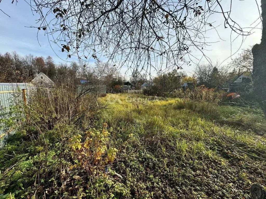 Участок в Московская область, Электроугли Богородский городской округ, ... - Фото 1