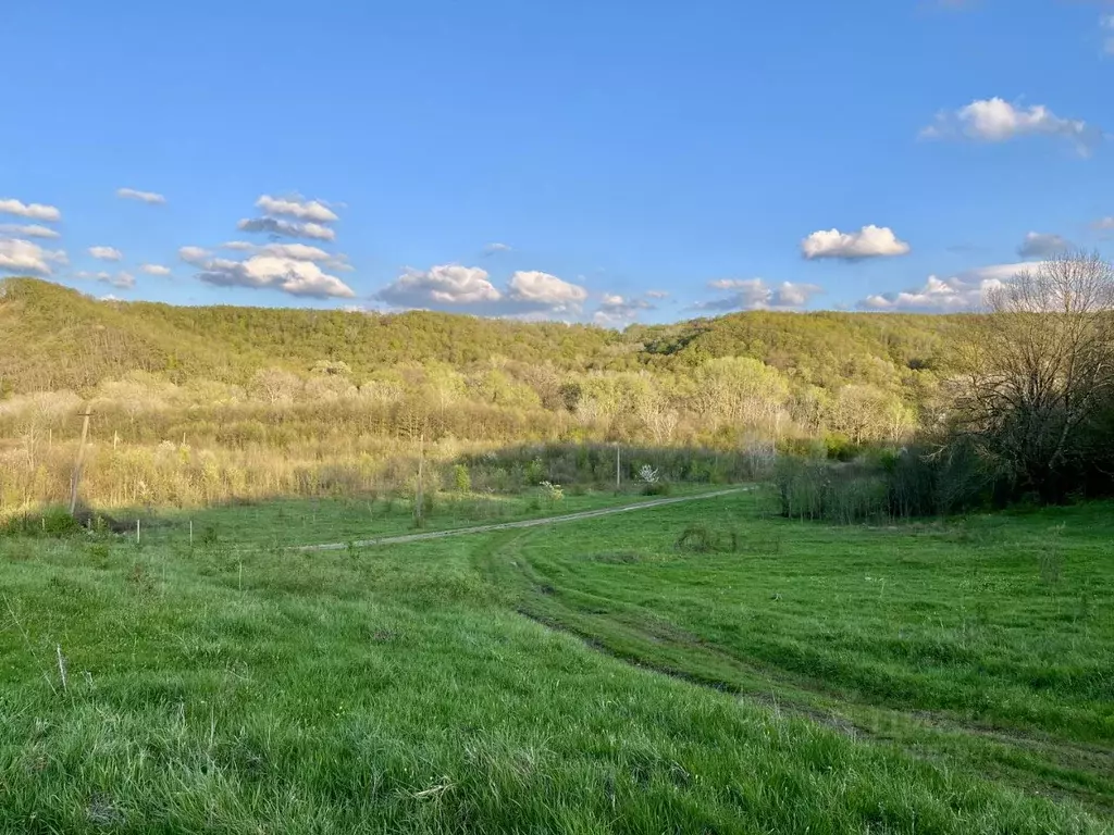 Участок в Краснодарский край, Апшеронский район, Куринское с/пос, пос. ... - Фото 2